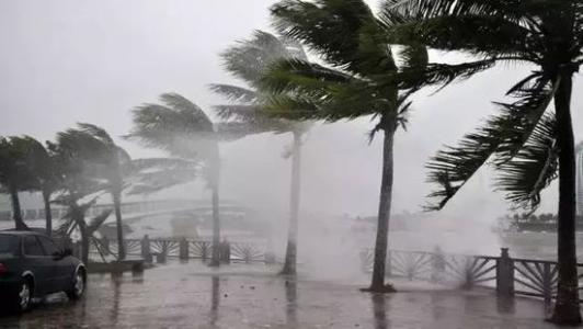 8月臺風(fēng)雨即將來(lái)，除濕機還得用起來(lái)