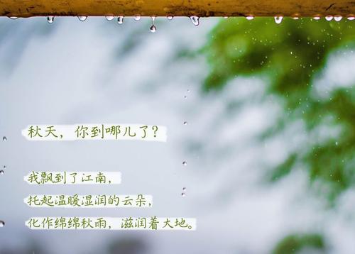 “無(wú)晴”陰雨天 “有晴”除濕機