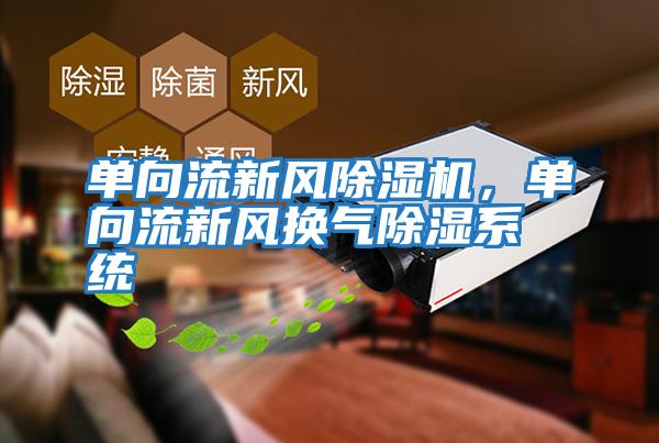 單向流新風(fēng)除濕機，單向流新風(fēng)換氣除濕系統