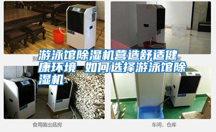 游泳館除濕機營(yíng)造舒適健康環(huán)境 如何選擇游泳館除濕機