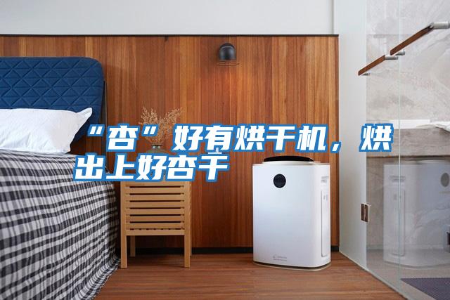 “杏”好有烘干機，烘出上好杏干