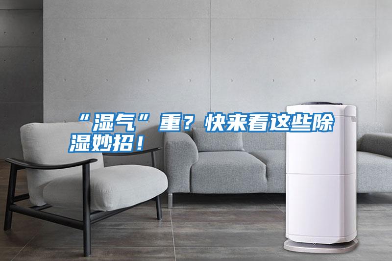 “濕氣”重？快來(lái)看這些除濕妙招！