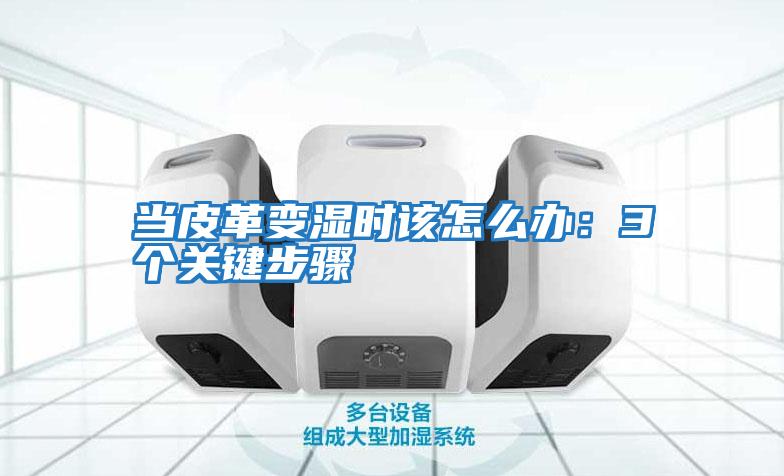 當皮革變濕時(shí)該怎么辦:3個(gè)關(guān)鍵步驟