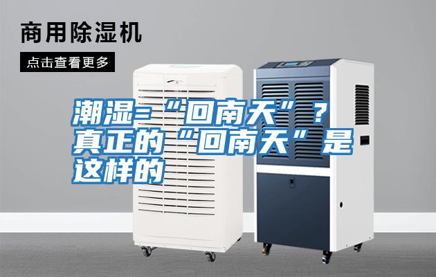 潮濕=“回南天”？ 真正的“回南天”是這樣的