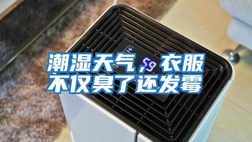 潮濕天氣，衣服不僅臭了還發(fā)霉
