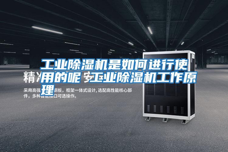 工業(yè)除濕機是如何進(jìn)行使用的呢 工業(yè)除濕機工作原理