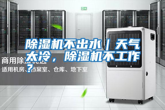 除濕機不出水｜天氣太冷，除濕機不工作？