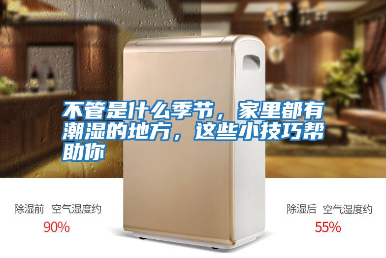 不管是什么季節，家里都有潮濕的地方，這些小技巧幫助你