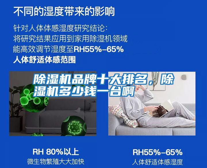 除濕機品牌十大排名，除濕機多少錢(qián)一臺啊