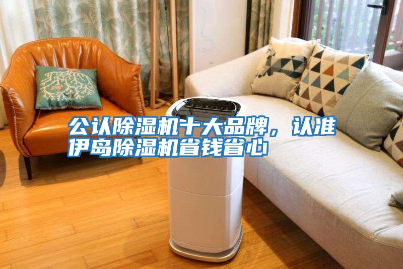 公認除濕機十大品牌，認準伊島除濕機省錢(qián)省心