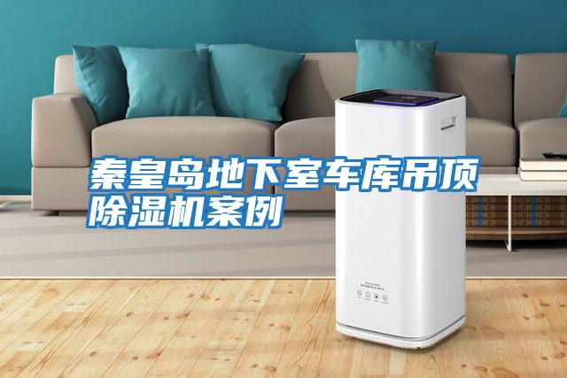 秦皇島地下室車(chē)庫吊頂除濕機案例
