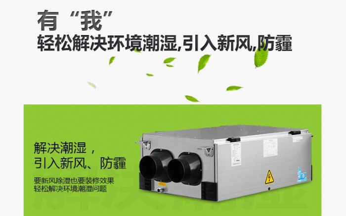 回南天貓毛都粘在一起，面對潮濕天氣，鏟屎官養貓需要注意什么
