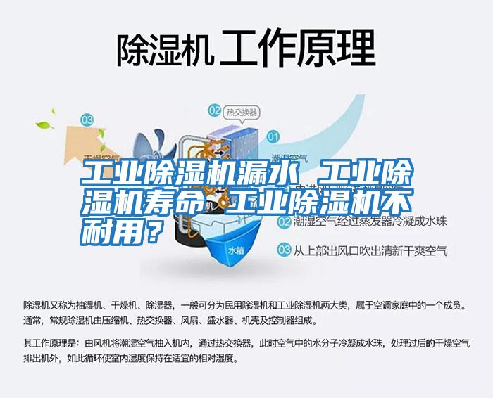 工業(yè)除濕機漏水 工業(yè)除濕機壽命 工業(yè)除濕機不耐用？