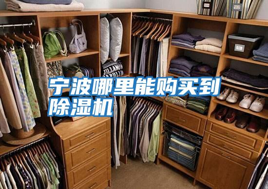 寧波哪里能購買(mǎi)到除濕機