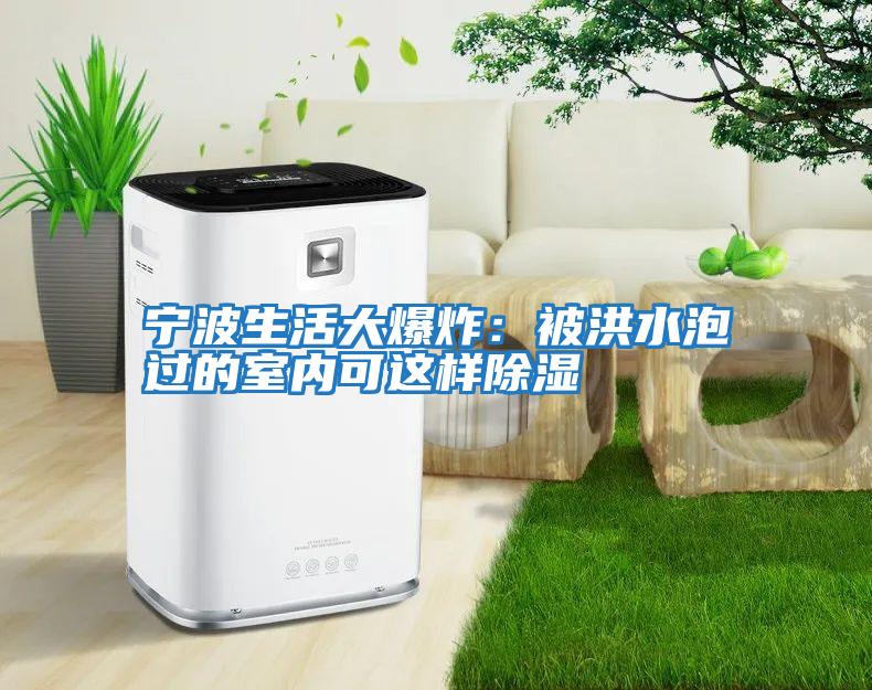 寧波生活大爆炸:被洪水泡過(guò)的室內可這樣除濕