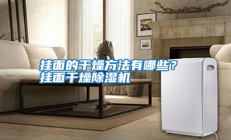 掛面的干燥方法有哪些？ 掛面干燥除濕機