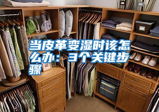 當皮革變濕時(shí)該怎么辦：3個(gè)關(guān)鍵步驟