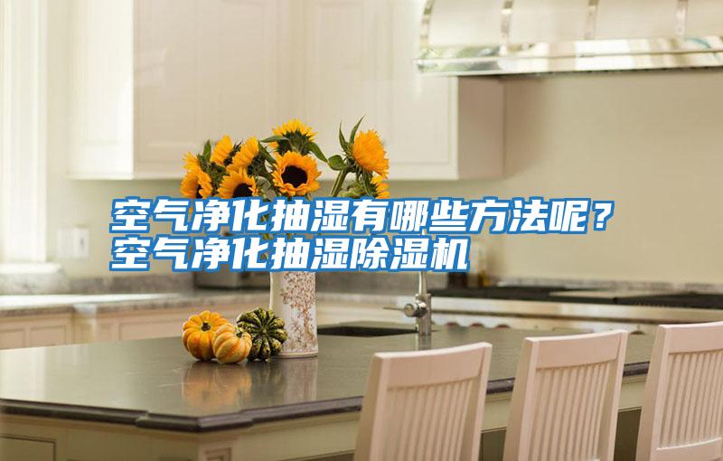空氣凈化抽濕有哪些方法呢？空氣凈化抽濕除濕機