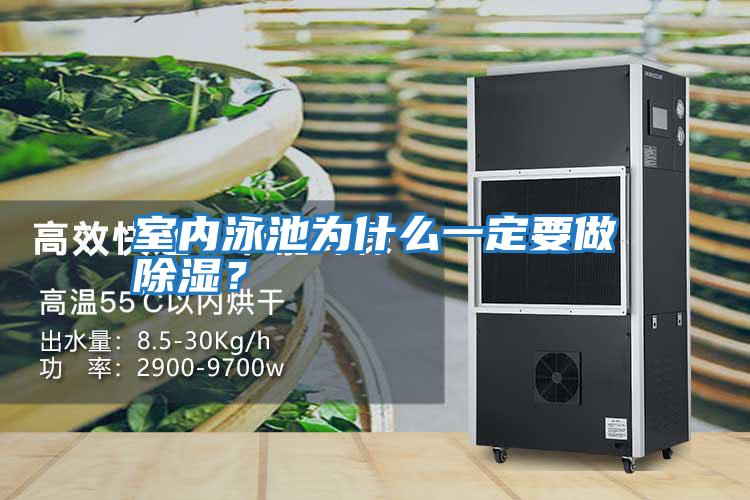 室內泳池為什么一定要做除濕？