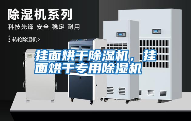 掛面烘干除濕機，掛面烘干專(zhuān)用除濕機