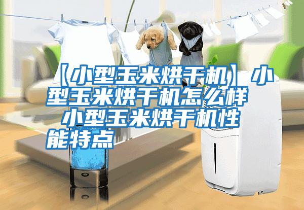 【小型玉米烘干機】小型玉米烘干機怎么樣 小型玉米烘干機性能特點(diǎn)