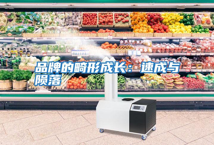 品牌的畸形成長(cháng)：速成與隕落