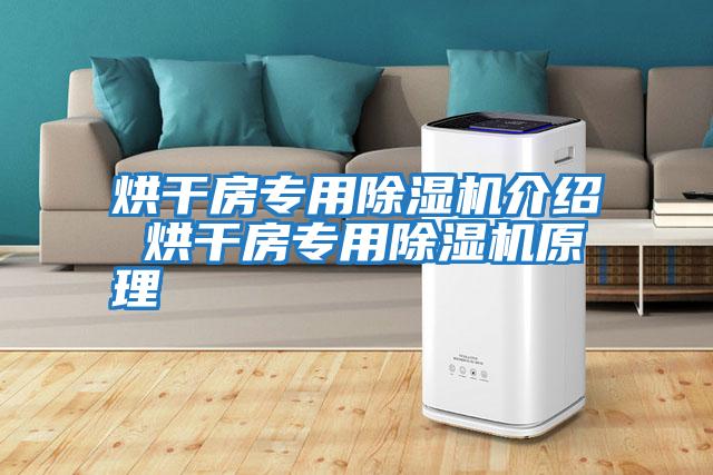 烘干房專(zhuān)用除濕機介紹 烘干房專(zhuān)用除濕機原理