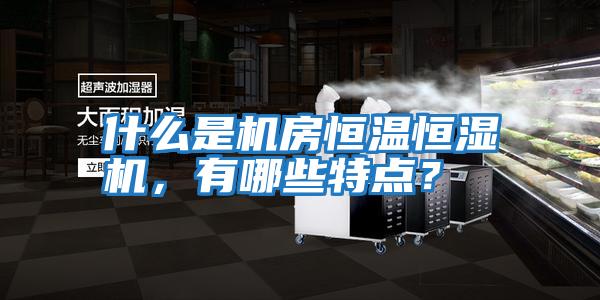 什么是機房恒溫恒濕機，有哪些特點(diǎn)？