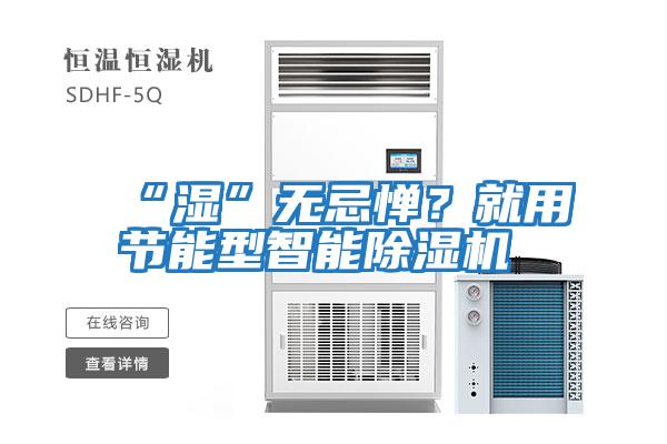 “濕”無(wú)忌憚？就用節能型智能除濕機