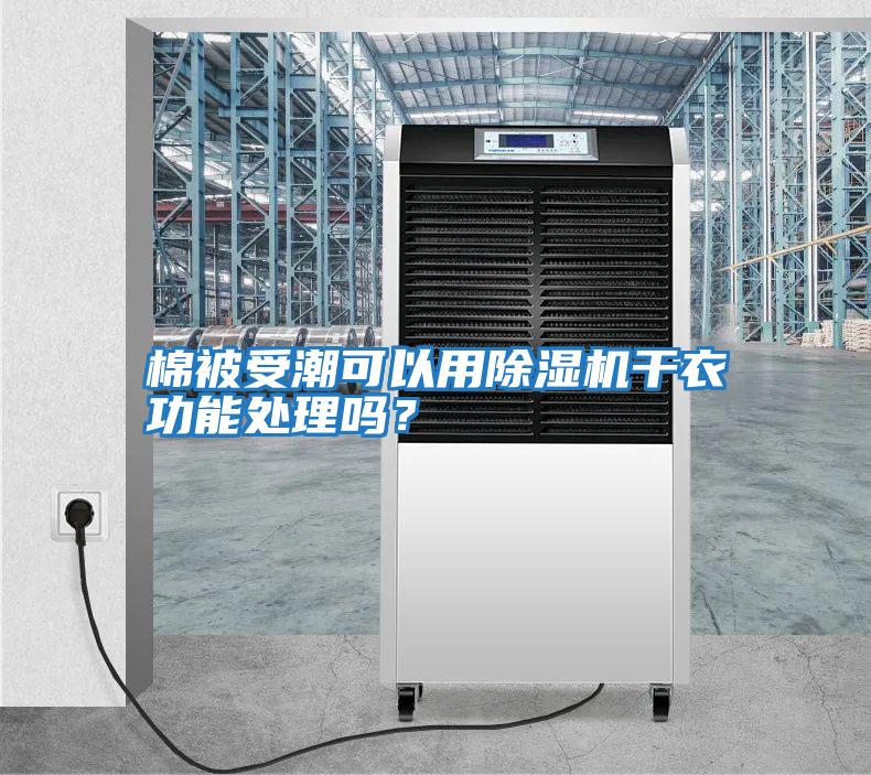 棉被受潮可以用除濕機干衣功能處理嗎？
