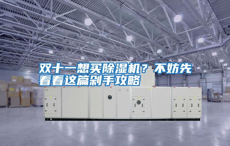 雙十一想買(mǎi)除濕機？不妨先看看這篇剁手攻略