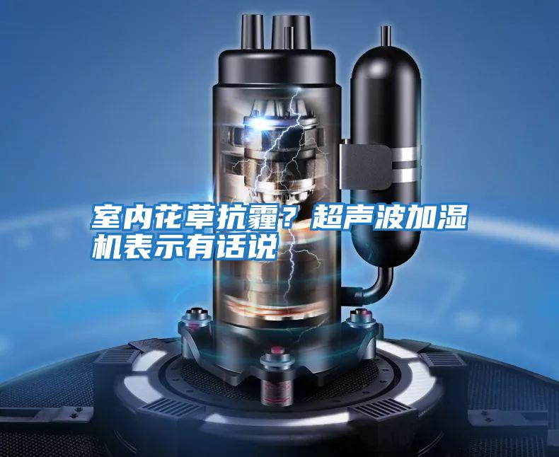 室內花草抗霾？超聲波加濕機表示有話(huà)說(shuō)