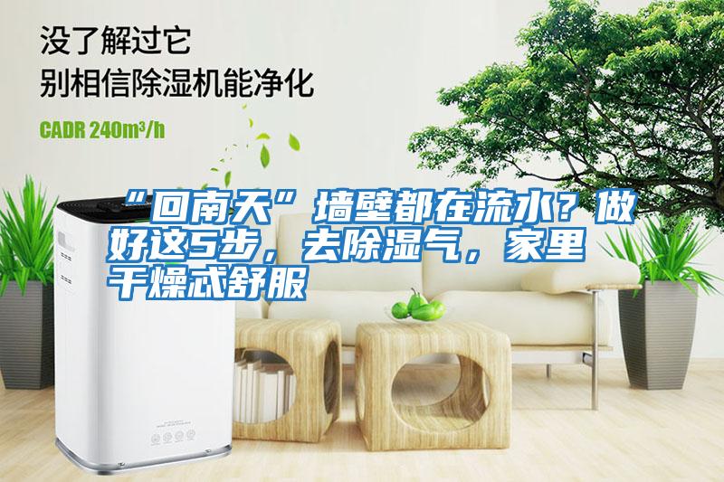 “回南天”墻壁都在流水？做好這5步，去除濕氣，家里干燥忒舒服