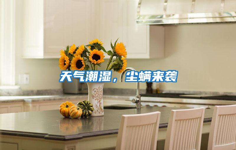 天氣潮濕，塵螨來(lái)襲