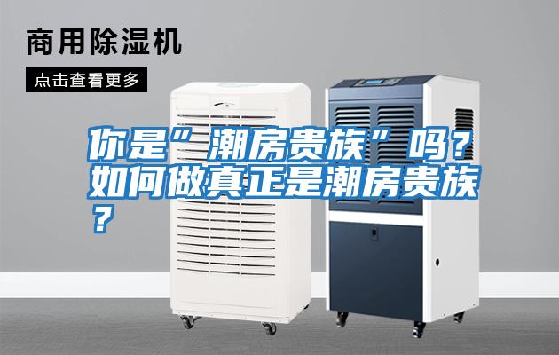 你是”潮房貴族”嗎？如何做真正是潮房貴族？