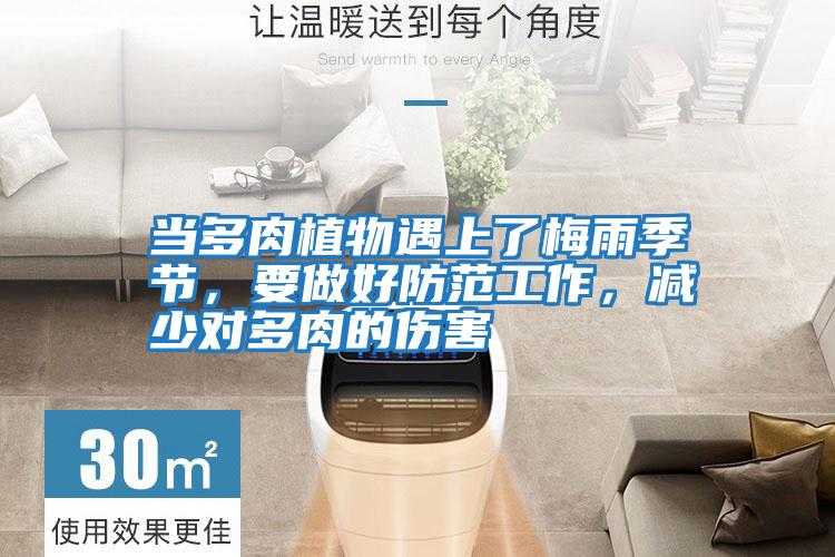 當多肉植物遇上了梅雨季節，要做好防范工作，減少對多肉的傷害