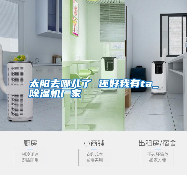 太陽(yáng)去哪兒了 還好我有ta_除濕機廠(chǎng)家