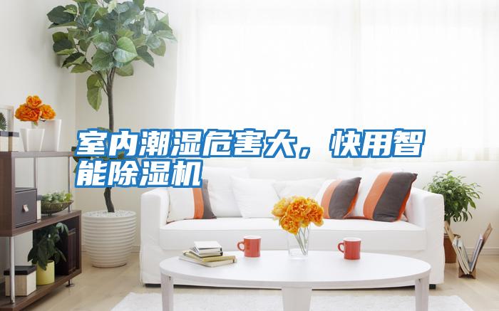 室內潮濕危害大，快用智能除濕機