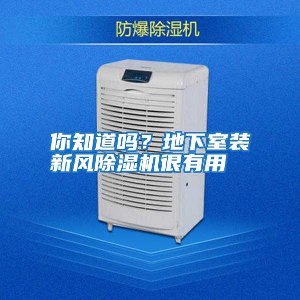 你知道嗎？地下室裝新風(fēng)除濕機很有用