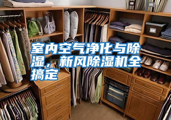 室內空氣凈化與除濕，新風(fēng)除濕機全搞定