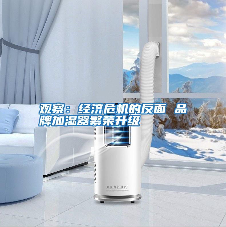 觀(guān)察:經(jīng)濟危機的反面 品牌加濕器繁榮升級