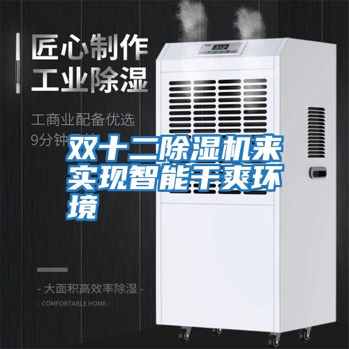雙十二除濕機來(lái)實(shí)現智能干爽環(huán)境