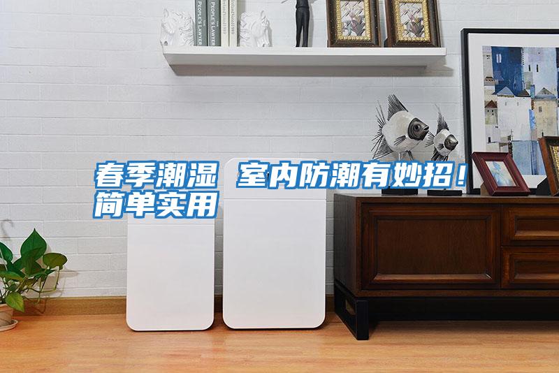 春季潮濕 室內防潮有妙招！簡(jiǎn)單實(shí)用