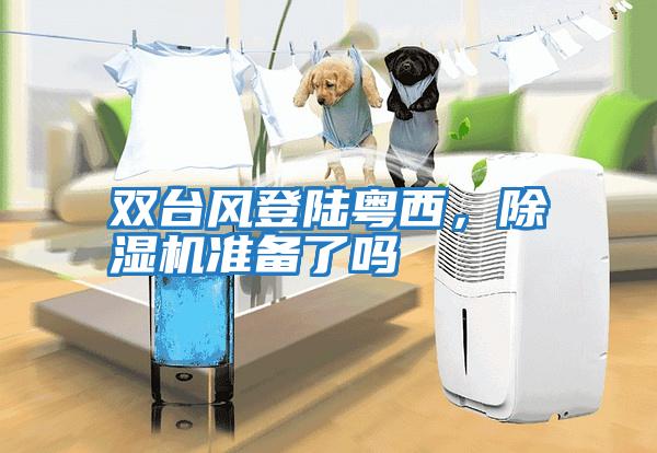 雙臺風(fēng)登陸粵西，除濕機準備了嗎