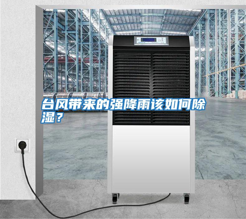 臺風(fēng)帶來(lái)的強降雨該如何除濕？