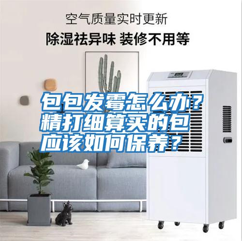 包包發(fā)霉怎么辦？精打細算買(mǎi)的包應該如何保養？