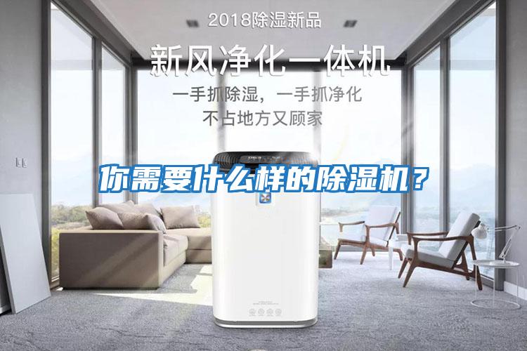 你需要什么樣的除濕機？