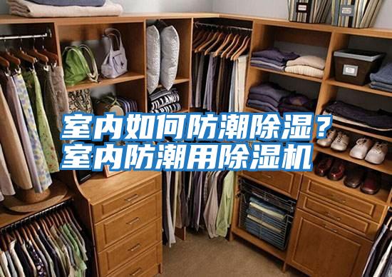 室內如何防潮除濕？室內防潮用除濕機