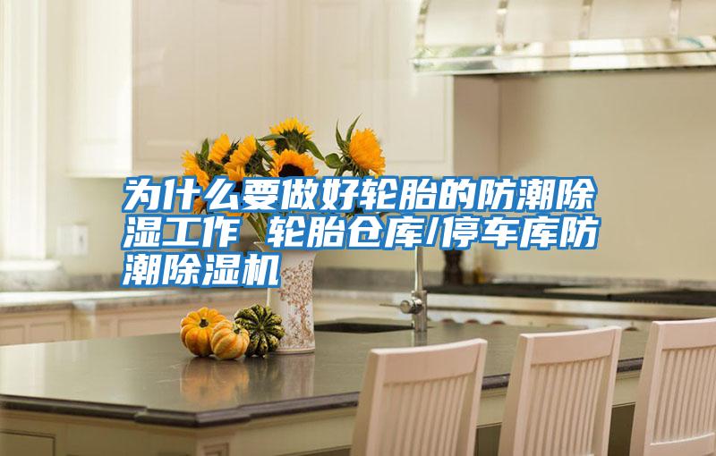 為什么要做好輪胎的防潮除濕工作 輪胎倉庫/停車(chē)庫防潮除濕機