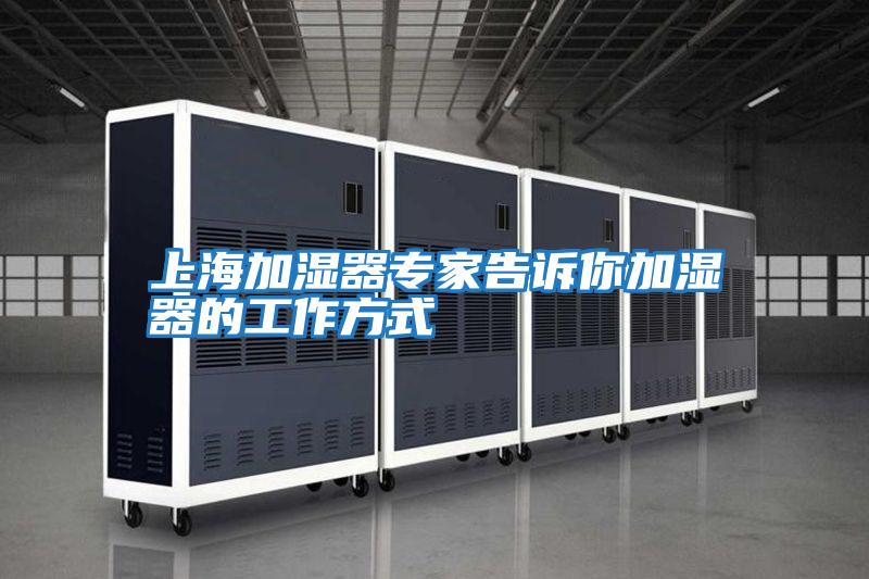 上海加濕器專(zhuān)家告訴你加濕器的工作方式